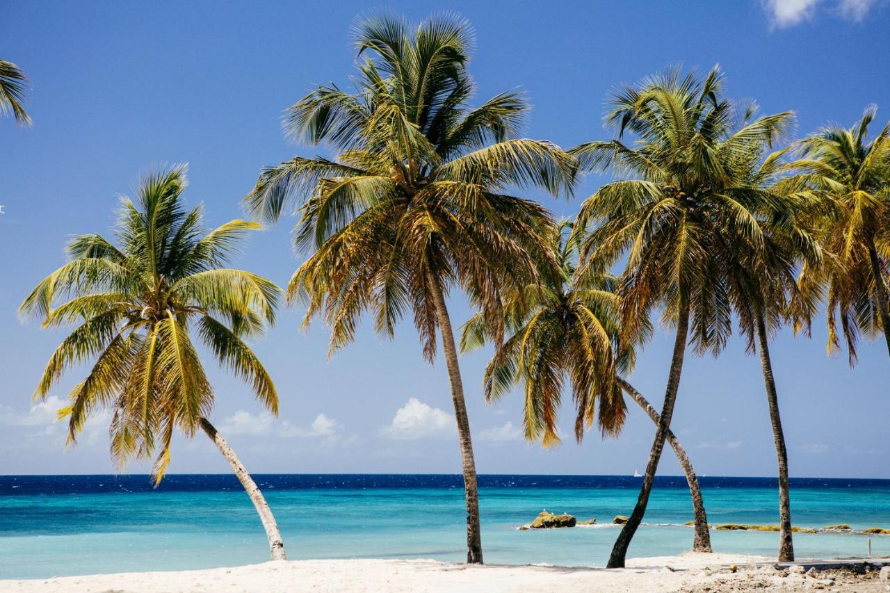 ホテル The Liming Bequia Friendship エクステリア 写真